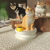 Cat figurine with a bowl of food on a white base, surrounded by other cat figurines.