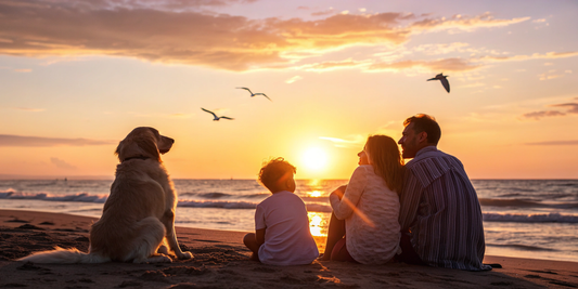 Crafting Lasting Comfort: Essential Considerations When Creating Custom Memorials for Departed Pets