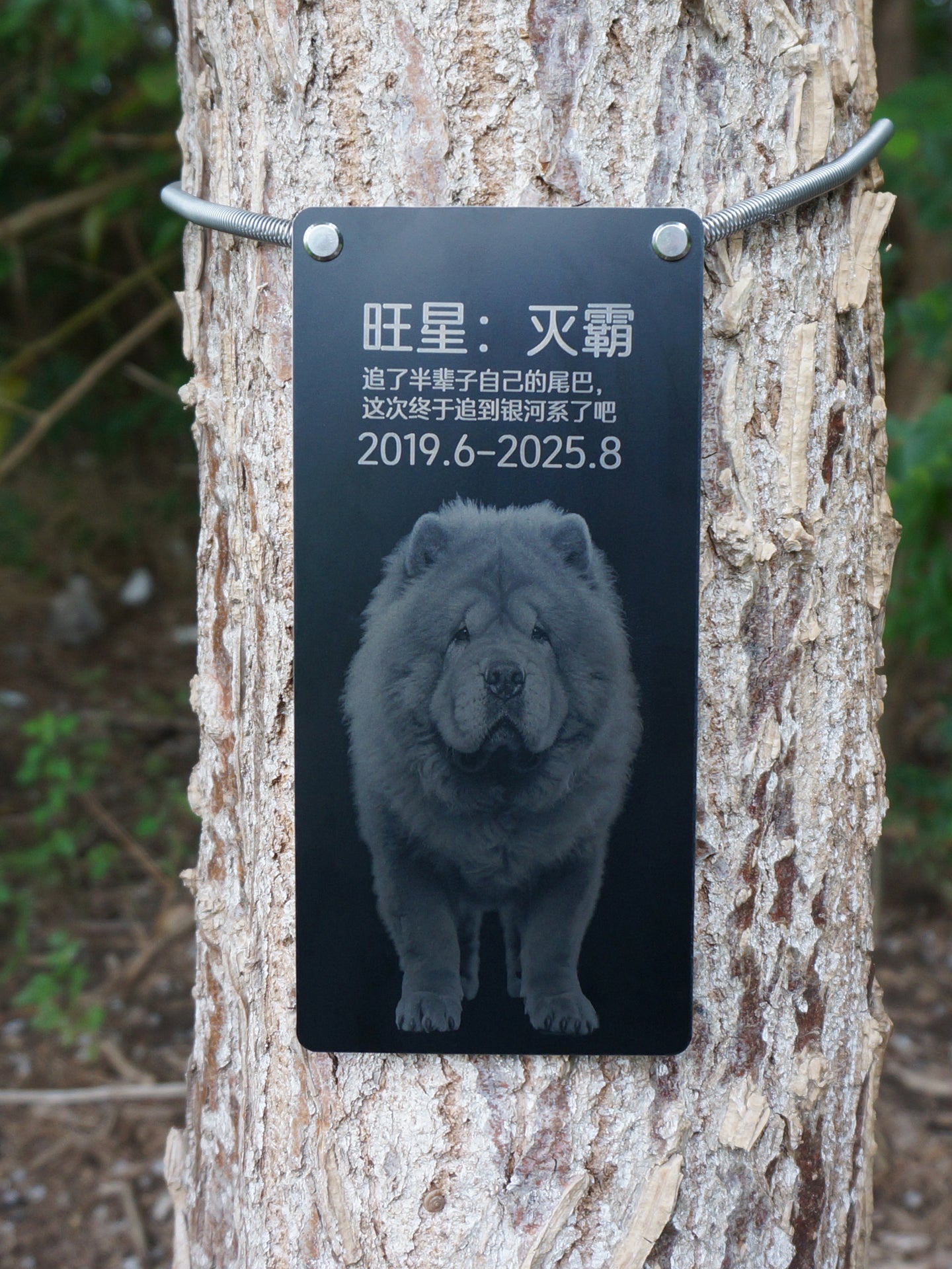 Memorial plaque for a dog attached to a tree with Chinese text