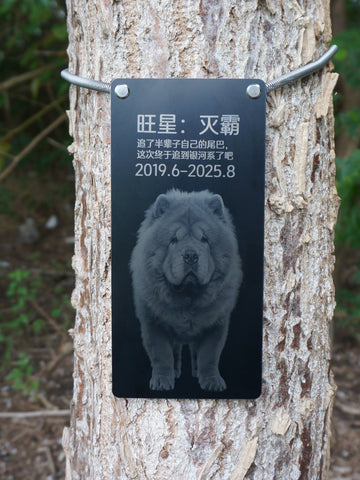 Memorial plaque for a dog attached to a tree with Chinese text