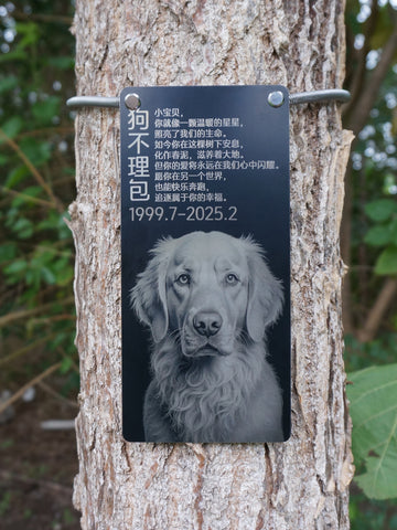 Memorial plaque with a dog's portrait attached to a tree