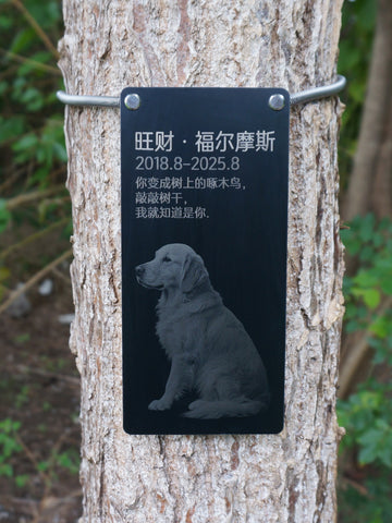 Memorial plaque for a dog attached to a tree with Chinese text