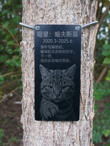 Memorial plaque for a cat attached to a tree with engraved text and a cat illustration.
