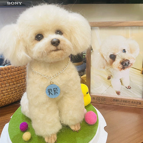 Small white dog with a blue tag on a green surface, with a framed photo of the dog in the background.