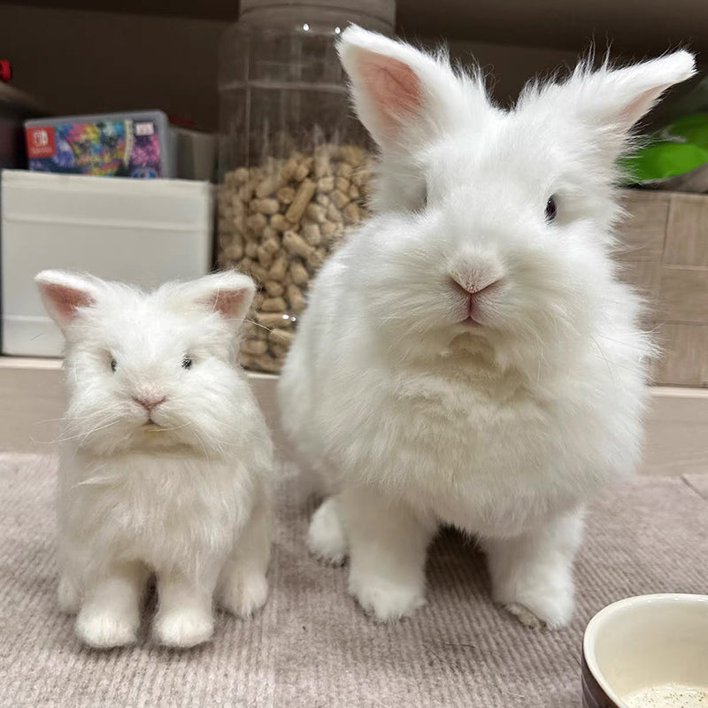 Two white rabbits standing on a textured surface with a bowl and jar in the background.