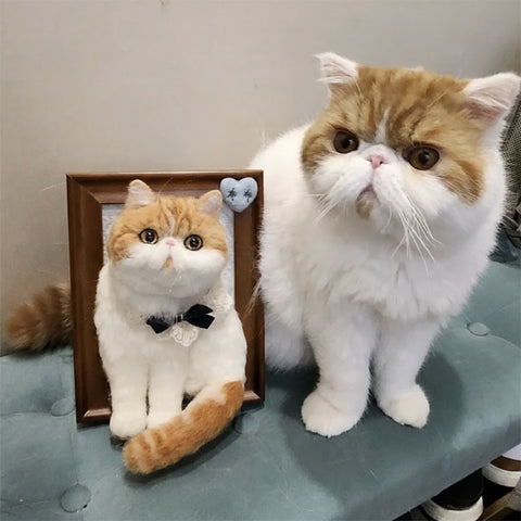 Real cat next to a plush toy of itself in a frame on a gray surface.