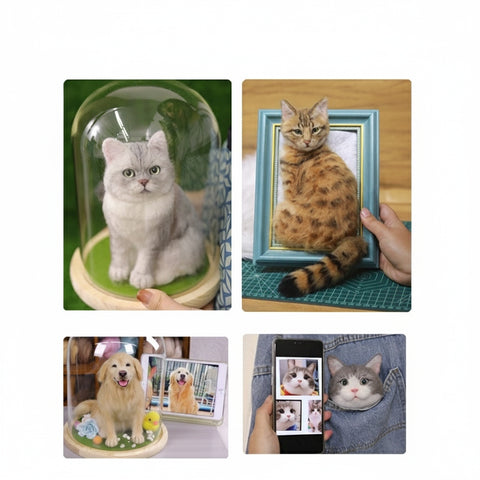 Collage of four images featuring cats in various settings with a focus on pet products or services.