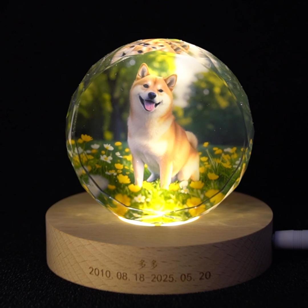 Glass sphere with a dog inside, illuminated on a wooden base with a black background