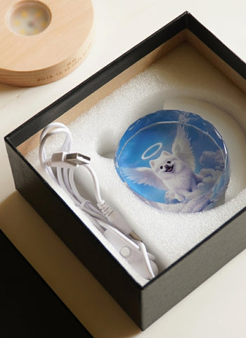 Decorative plate with angelic dog design in a black box