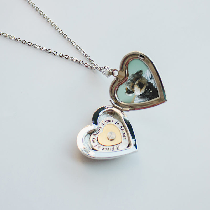 Heart-shaped locket with a cat inside on a light gray background